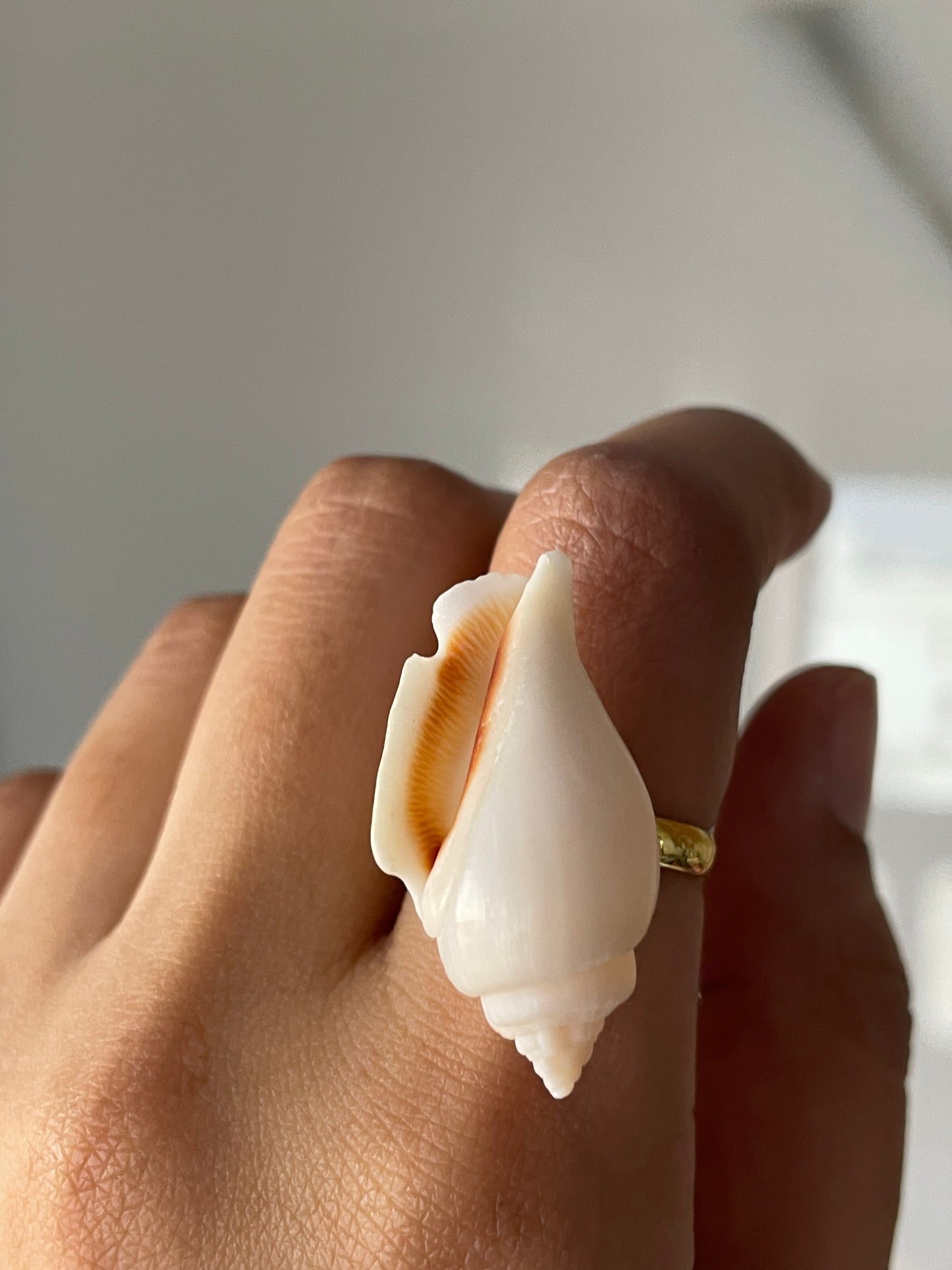 White Wing Shell Ring | Adjustable