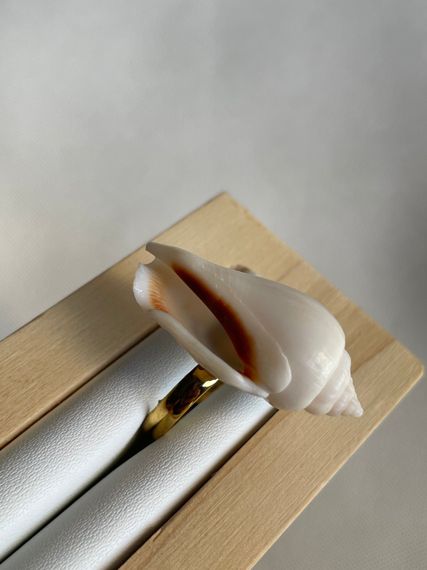 White Wing Shell Ring | Adjustable