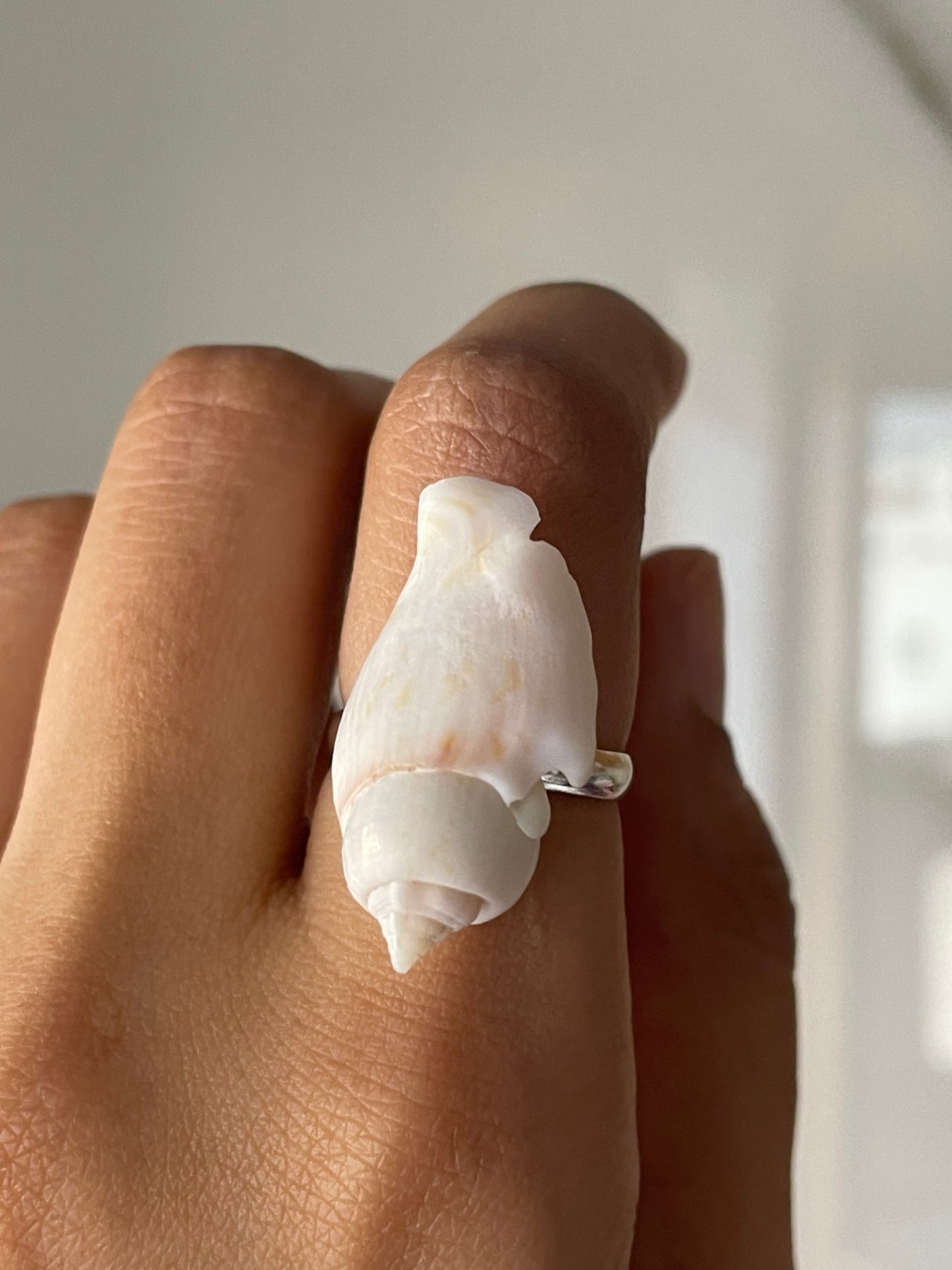 White Wing Shell Ring | Adjustable