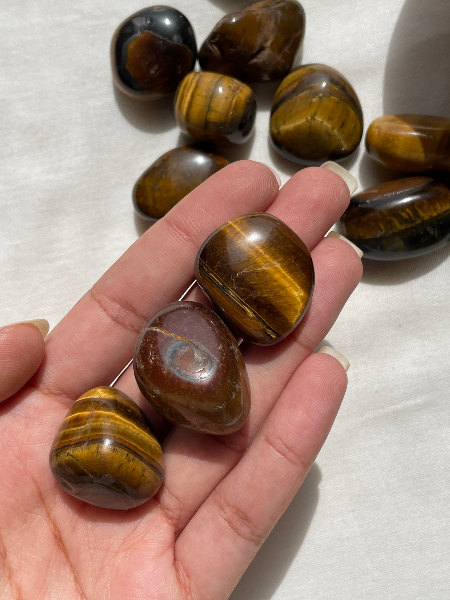 Tiger Eye Tumbles / عين النمر
