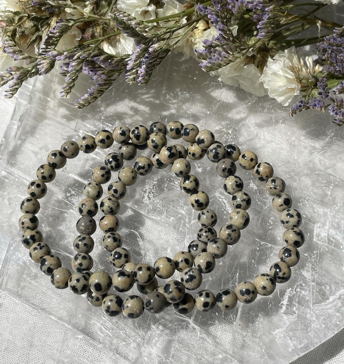 Dalmatian Jasper Bracelet | 6mm | دلميشن جاسبر