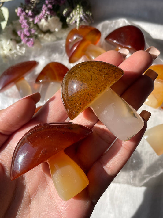 Carnelian Mushroom | Large | كارنيليان