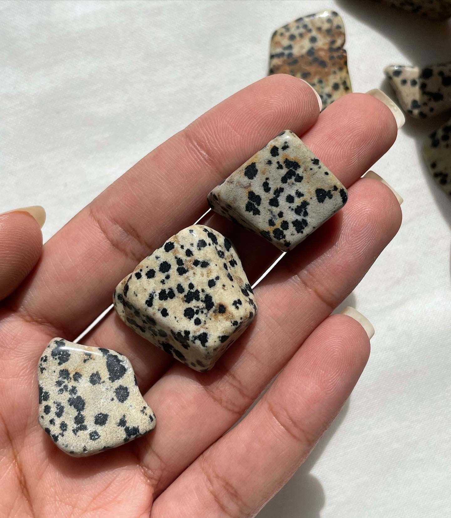 Dalmatian Jasper / دلميشن جاسبر