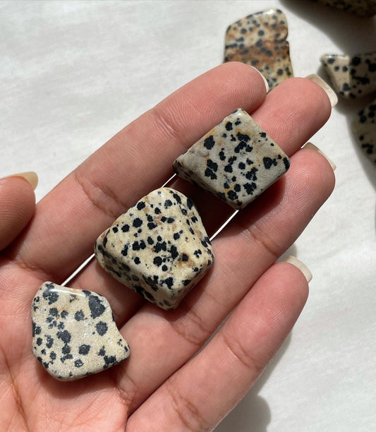 Dalmatian Jasper / دلميشن جاسبر