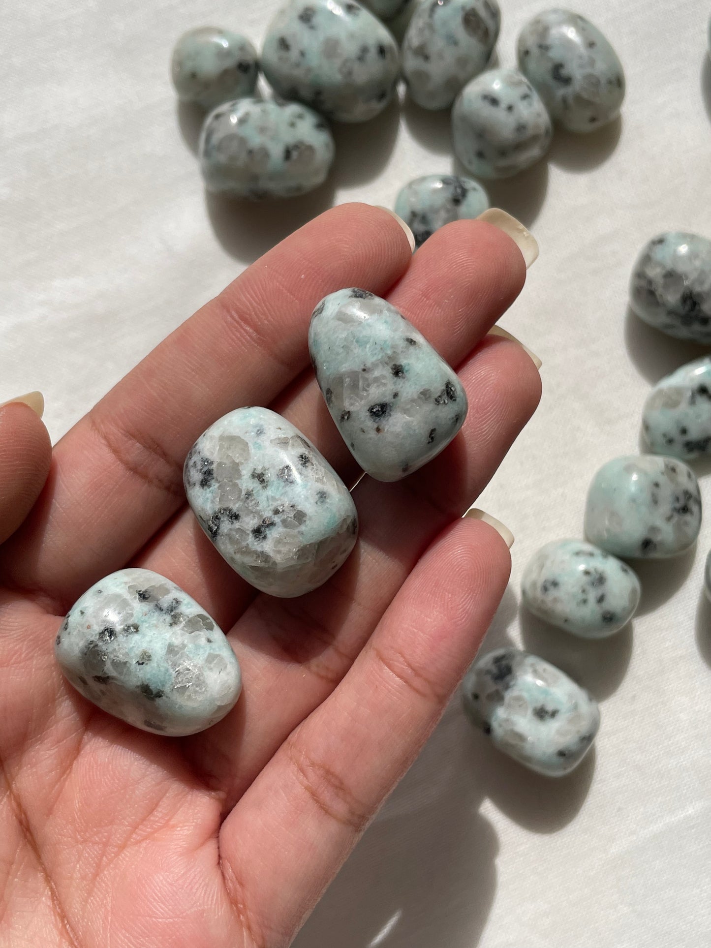 Kiwi Jasper Tumble | كيوي جاسبر