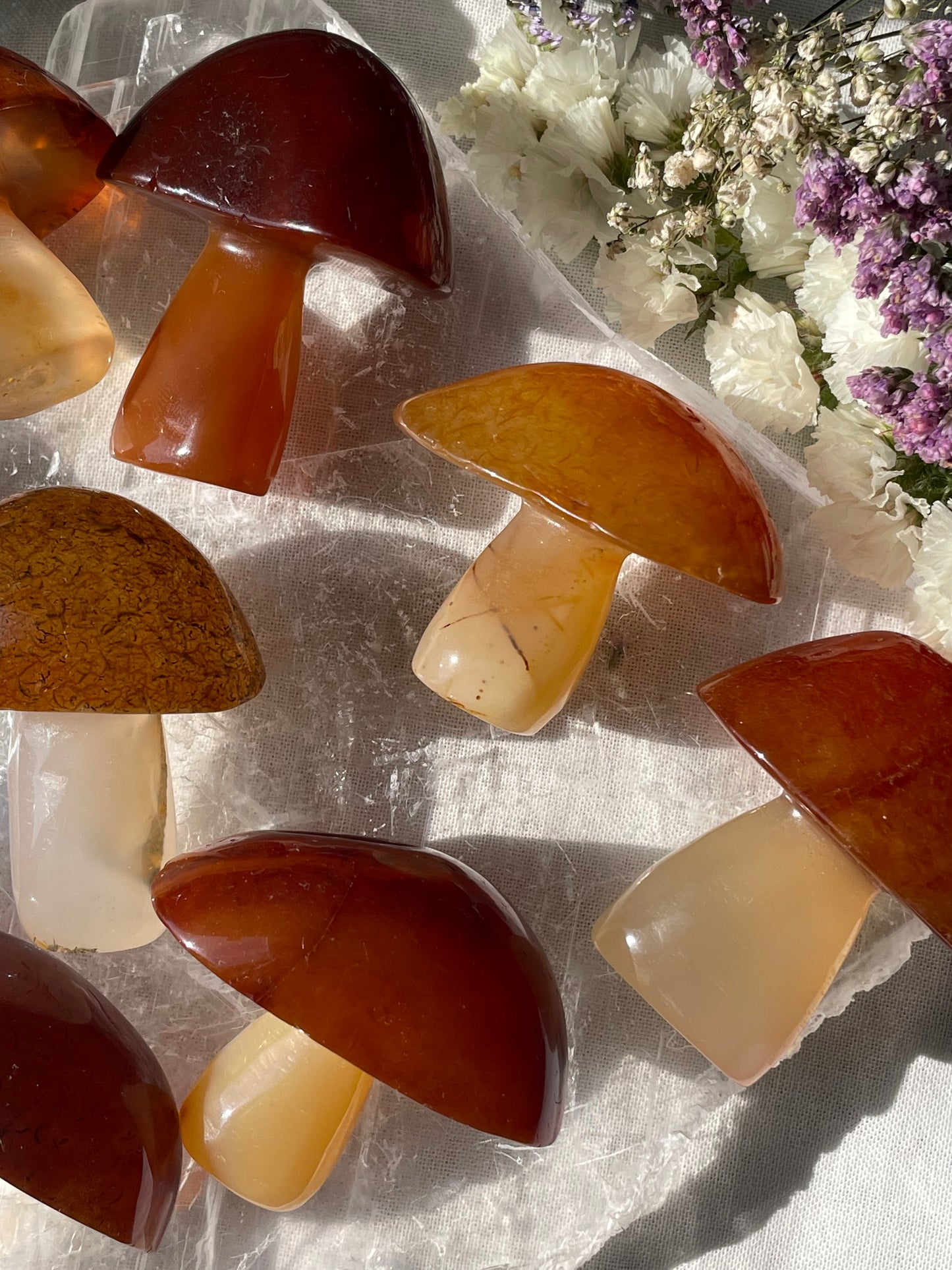 Carnelian Mushroom | Large | كارنيليان