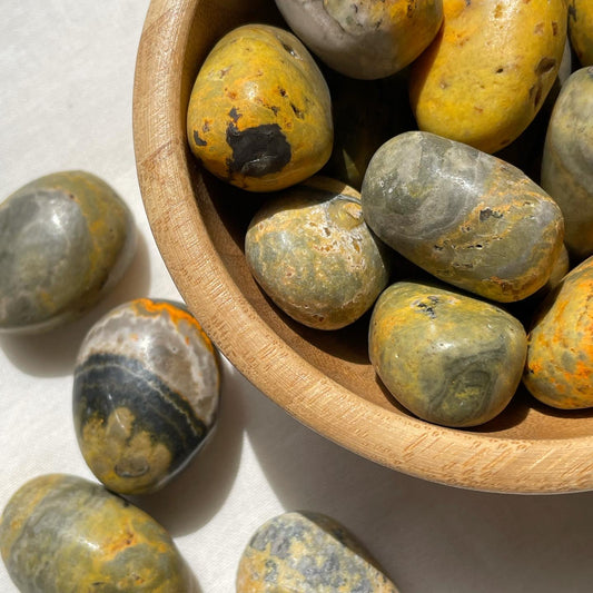 BumbleBee Jasper Tumbles | بامبلبي - جاسبر النحلة