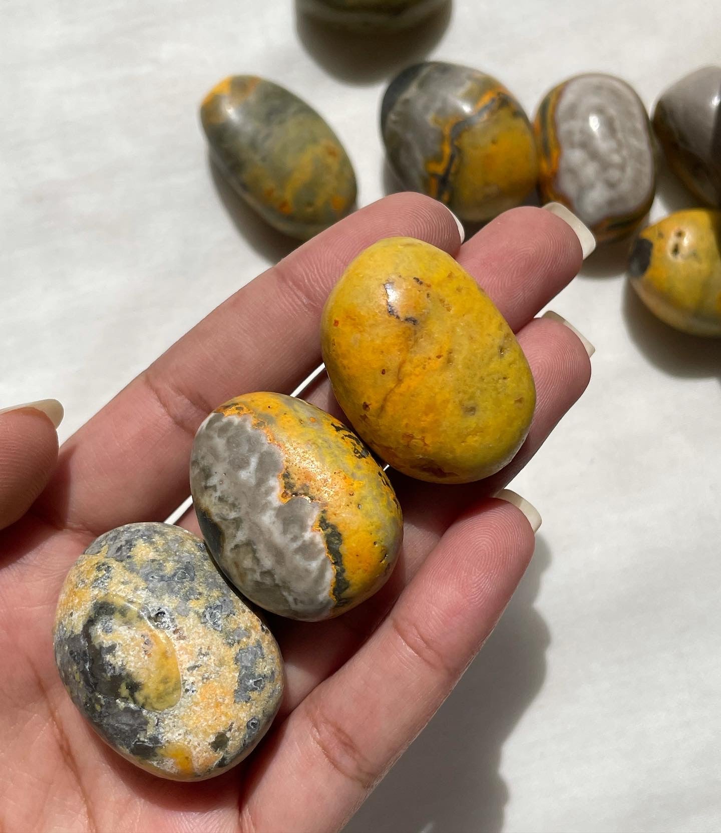 BumbleBee Jasper Tumbles | بامبلبي - جاسبر النحلة