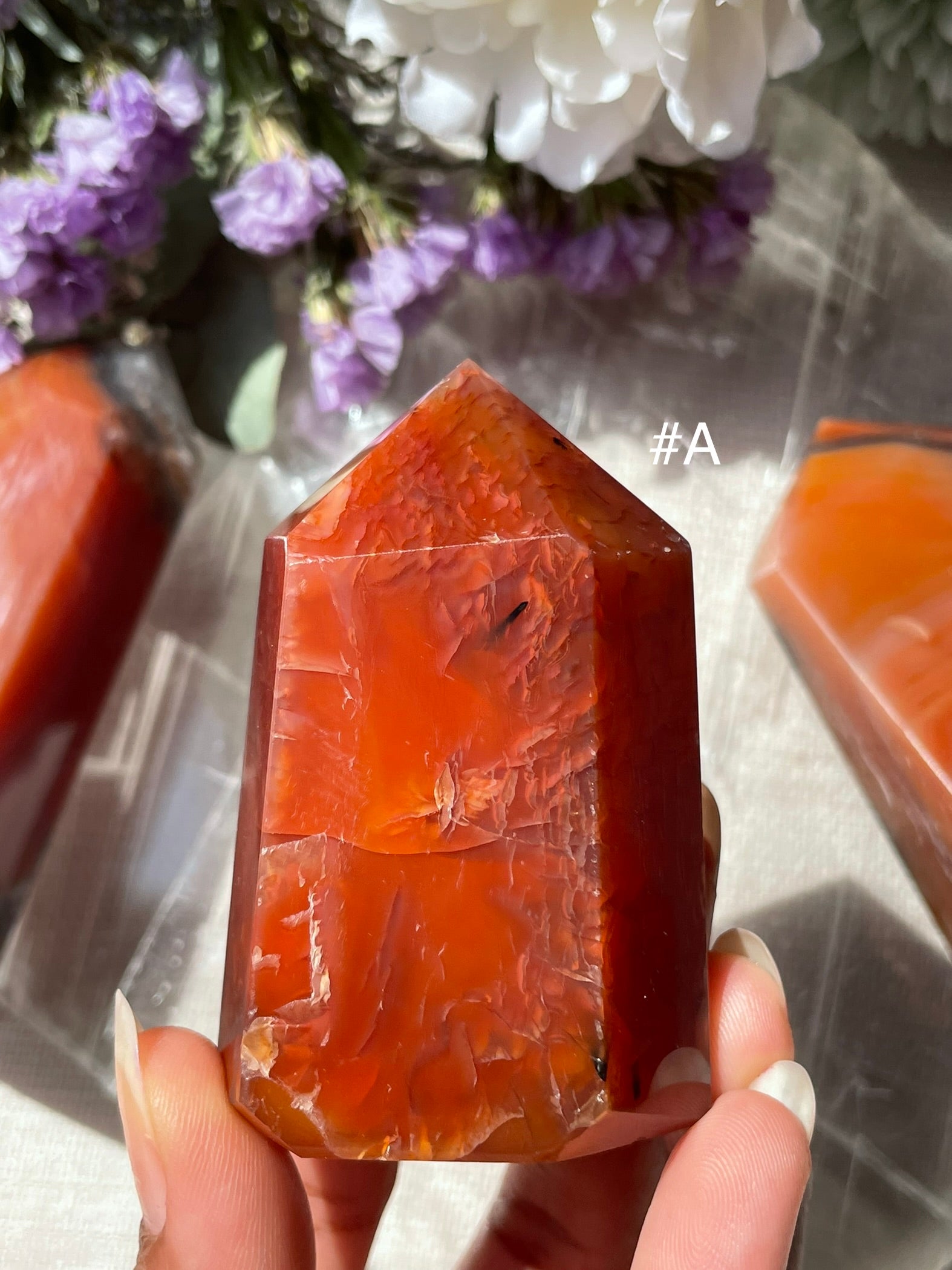Carnelian Towers | كارنيليان - العقيق الاحمر