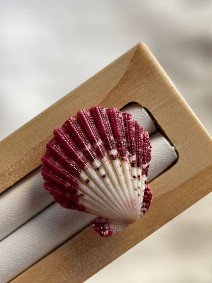 Purple Scallop Shell Ring | Adjustable