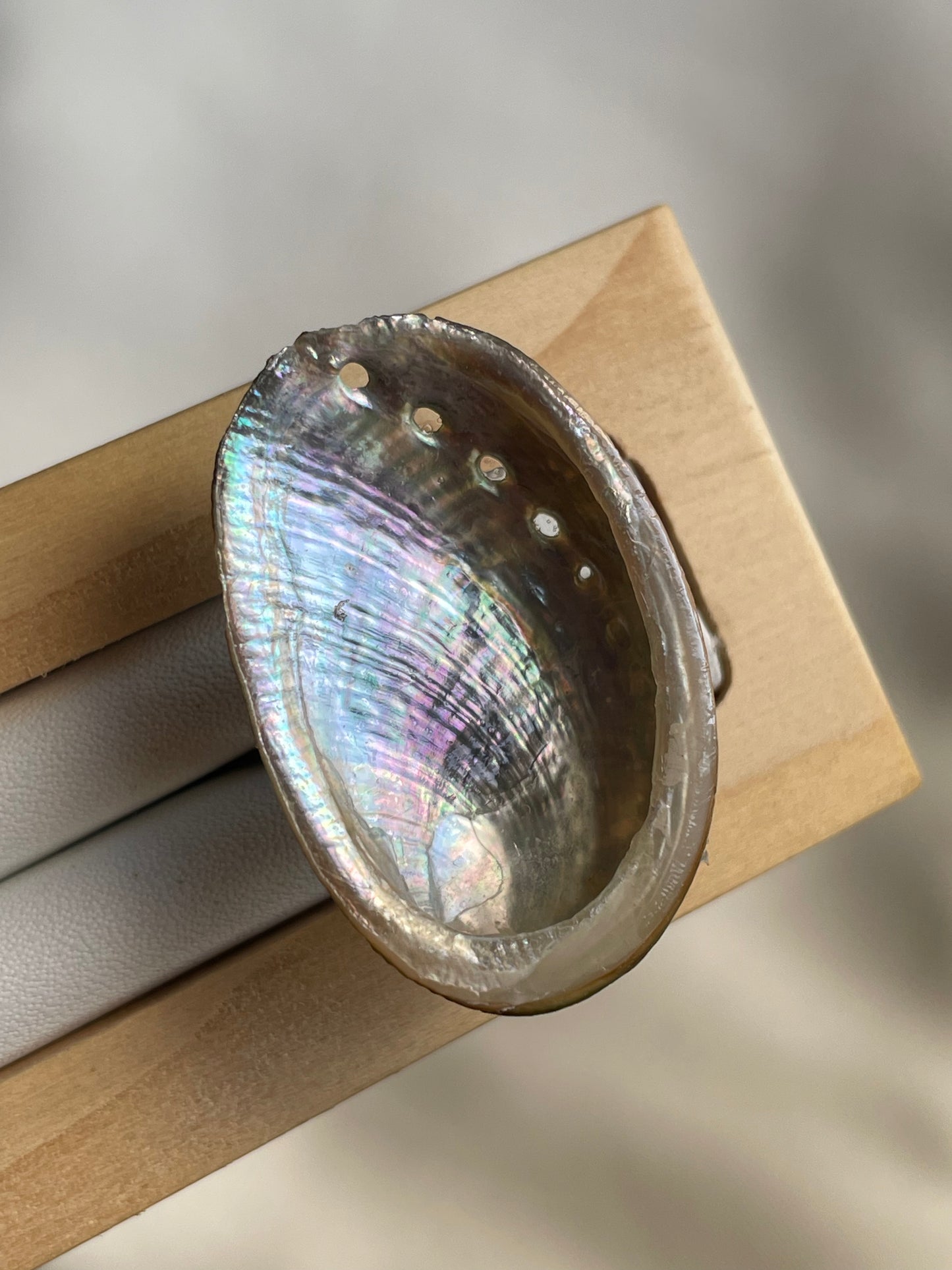 Abalone Shell Ring | Adjustable