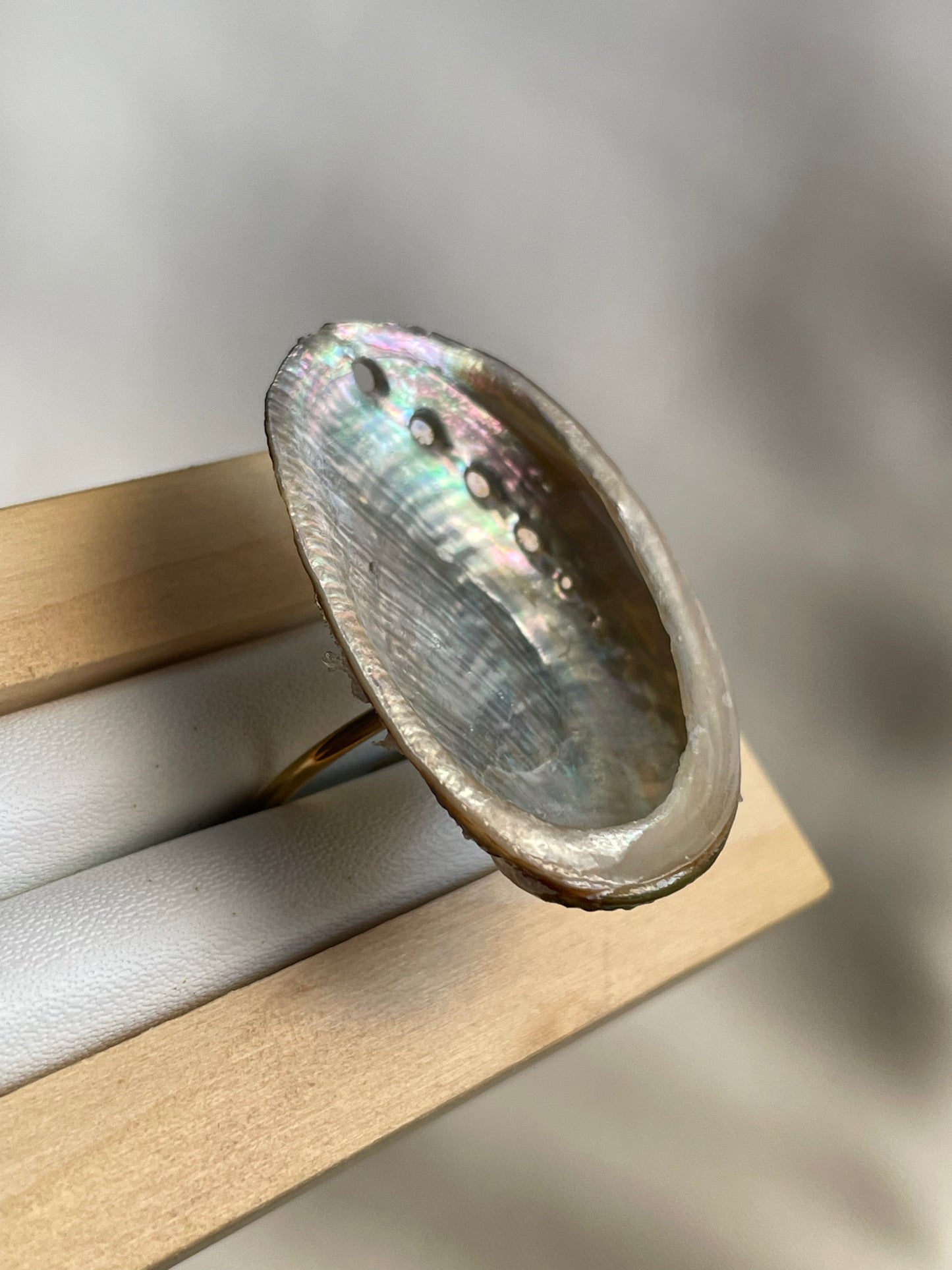 Abalone Shell Ring | Adjustable