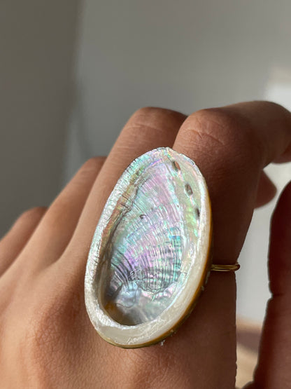 Abalone Shell Ring | Adjustable