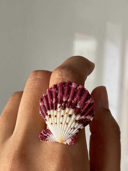 Purple Scallop Shell Ring | Adjustable