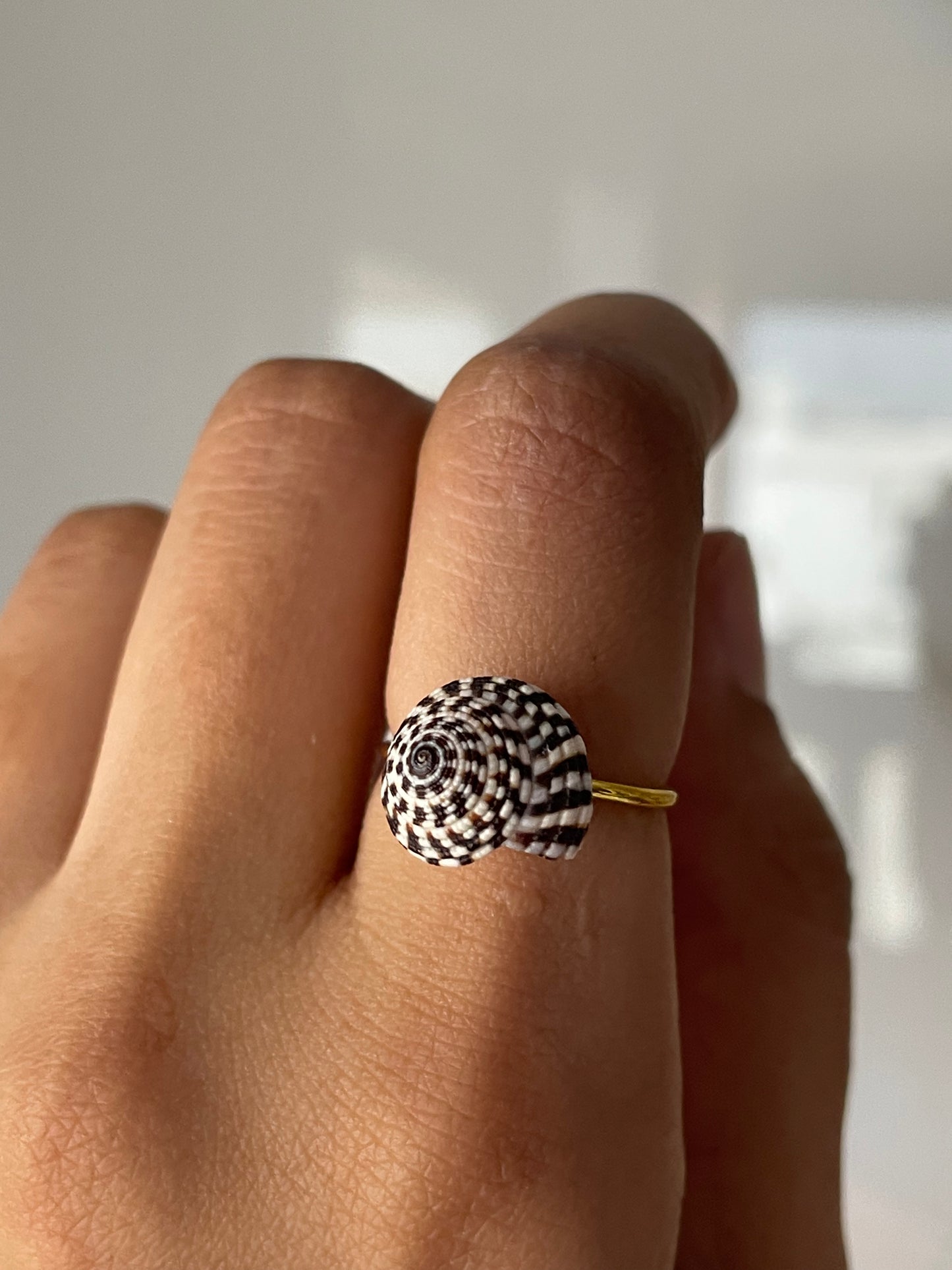Black & White Trochus Shell Ring | Adjustable