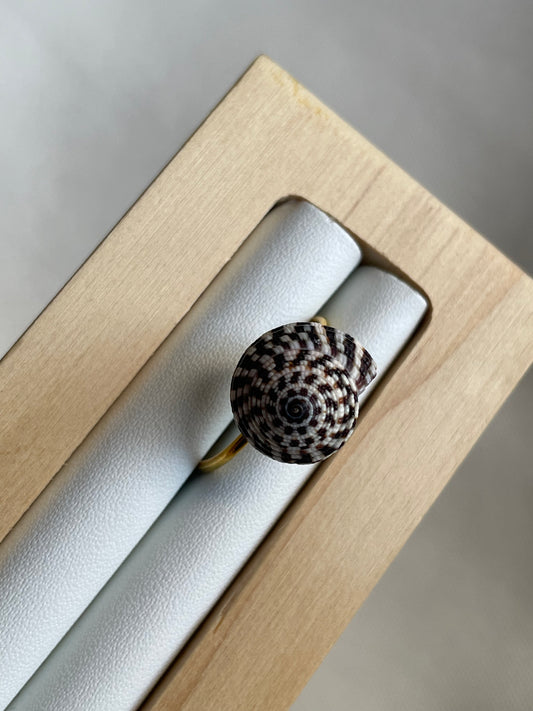 Black & White Trochus Shell Ring | Adjustable