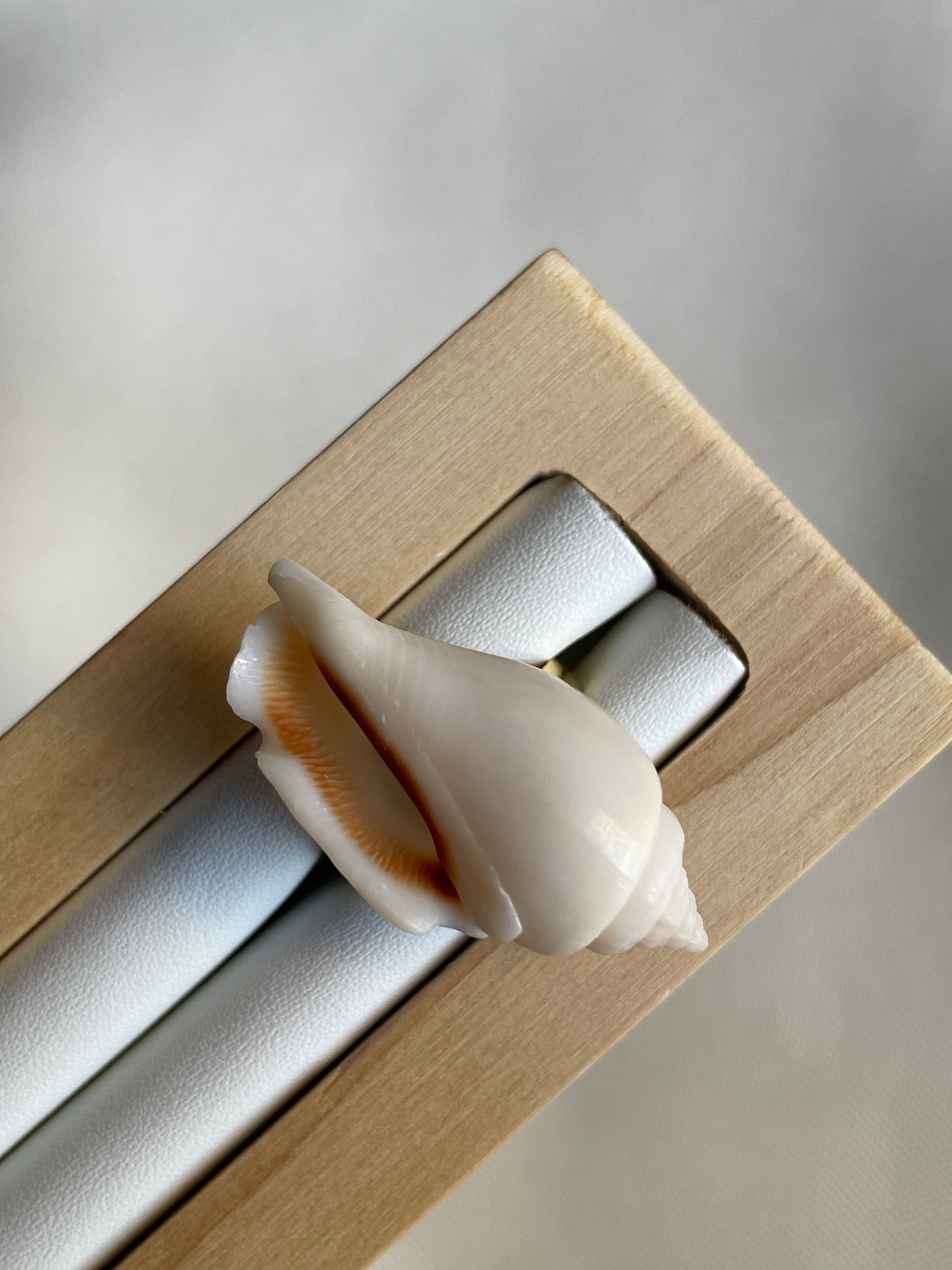 White Wing Shell Ring | Adjustable