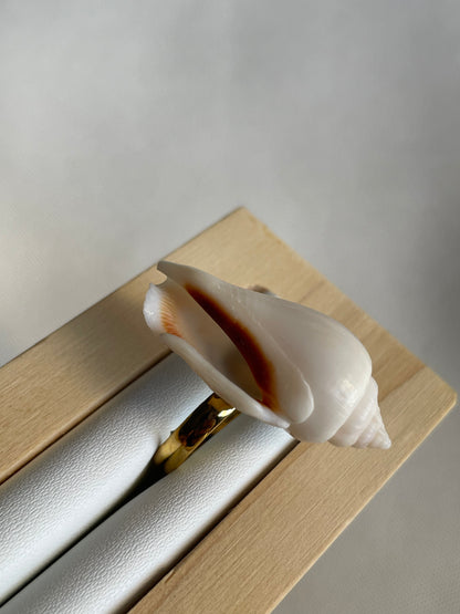 White Wing Shell Ring | Adjustable