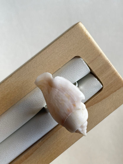 White Wing Shell Ring | Adjustable