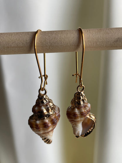 Natural Sea Snail Shell Earring