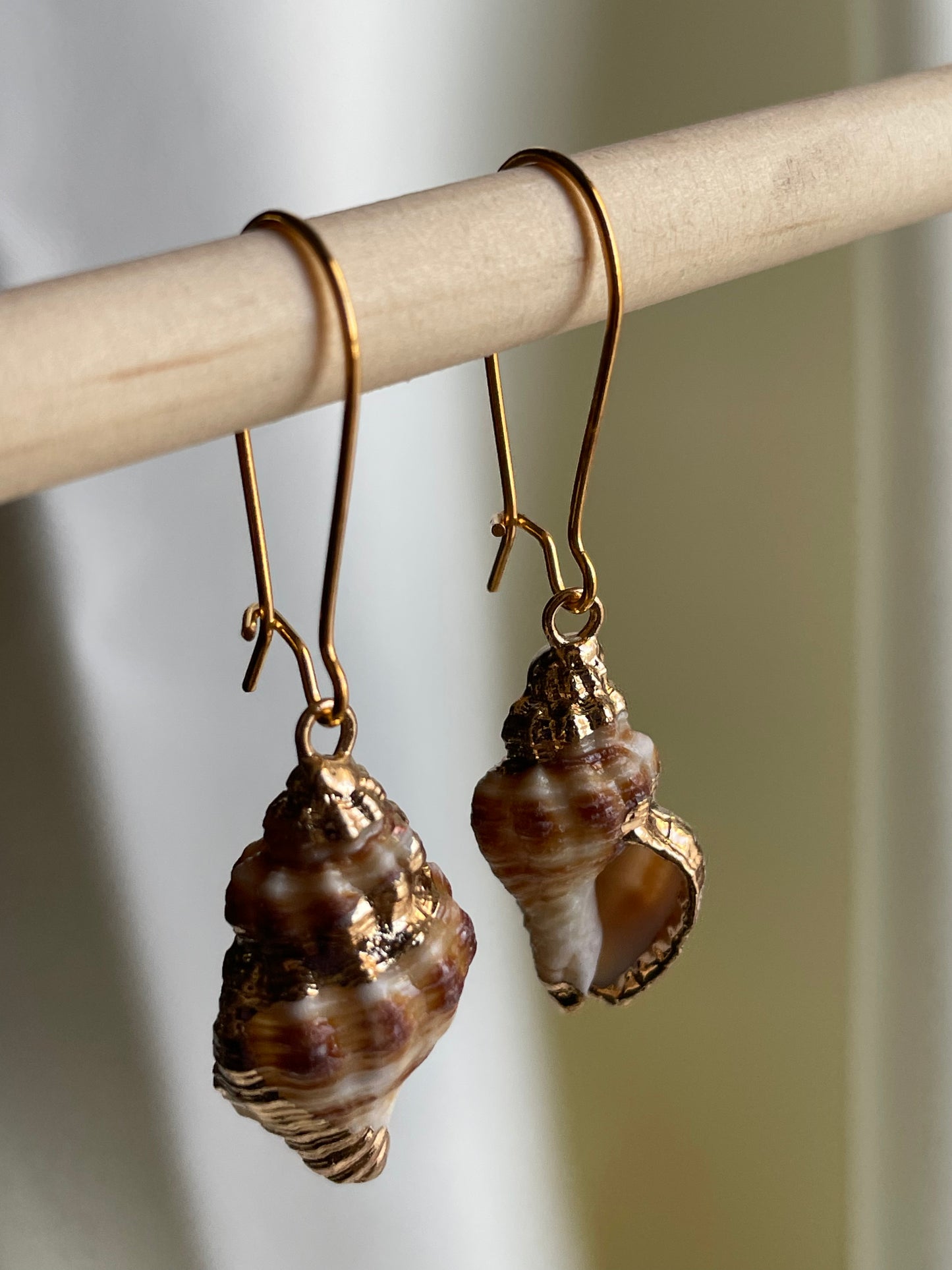 Natural Sea Snail Shell Earring