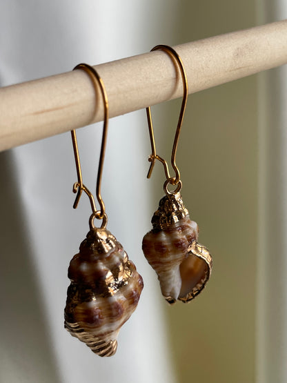 Natural Sea Snail Shell Earring