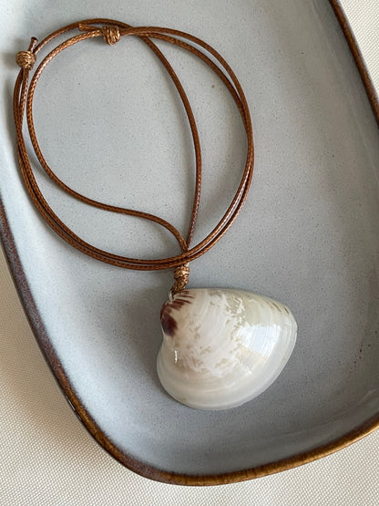 Natural Seashell necklace