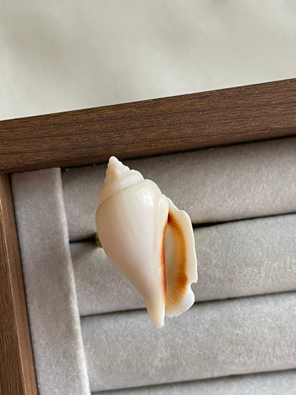 White Wing Shell Ring | Adjustable