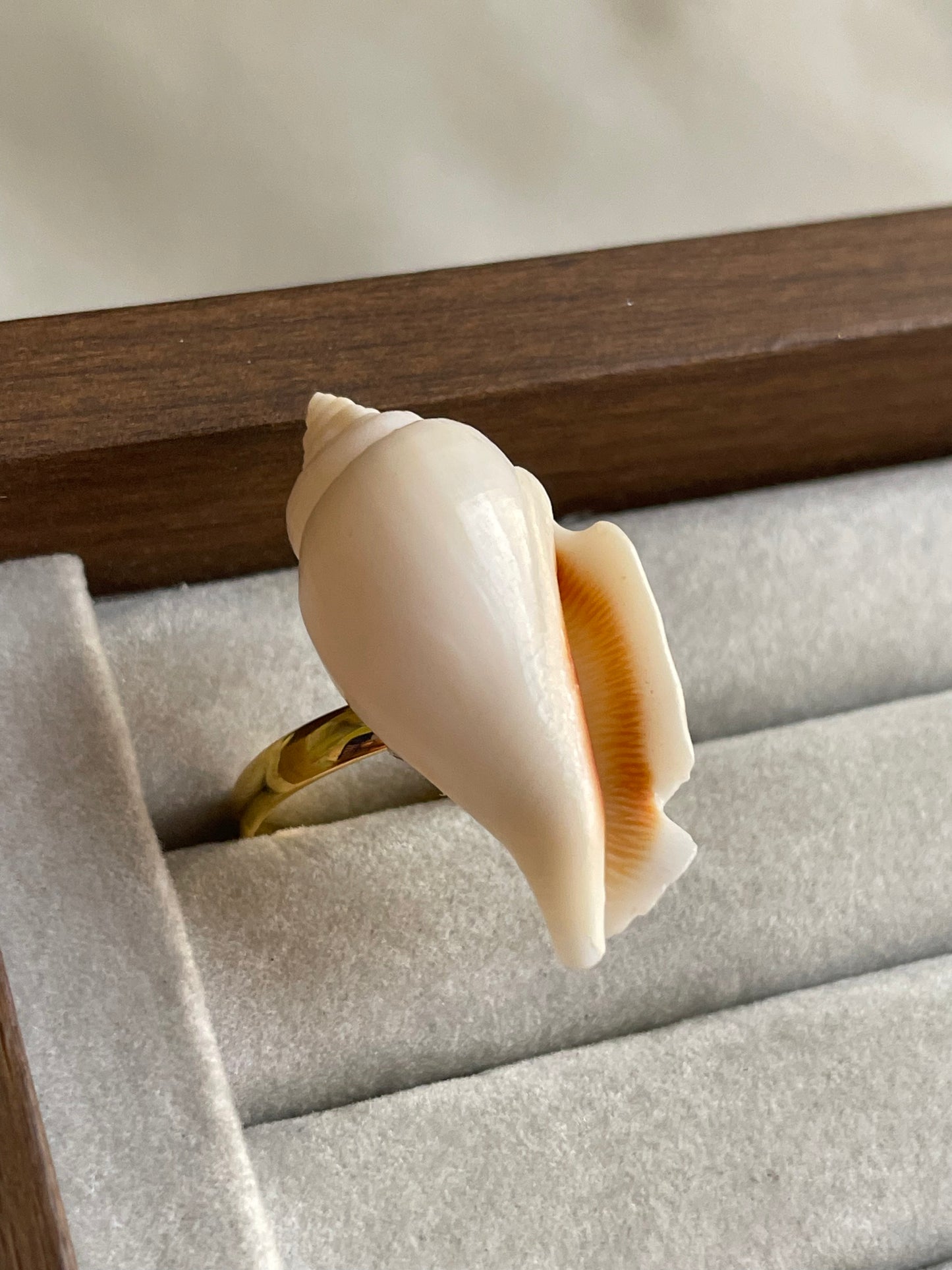 White Wing Shell Ring | Adjustable