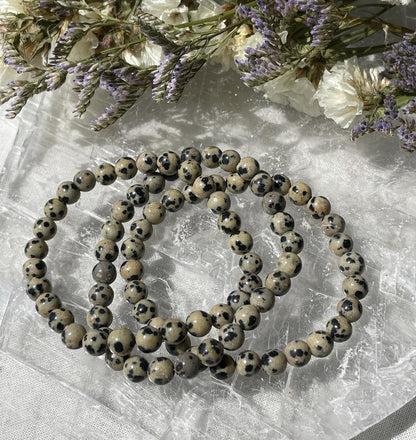 Dalmatian Jasper Bracelet | 6mm | دلميشن جاسبر