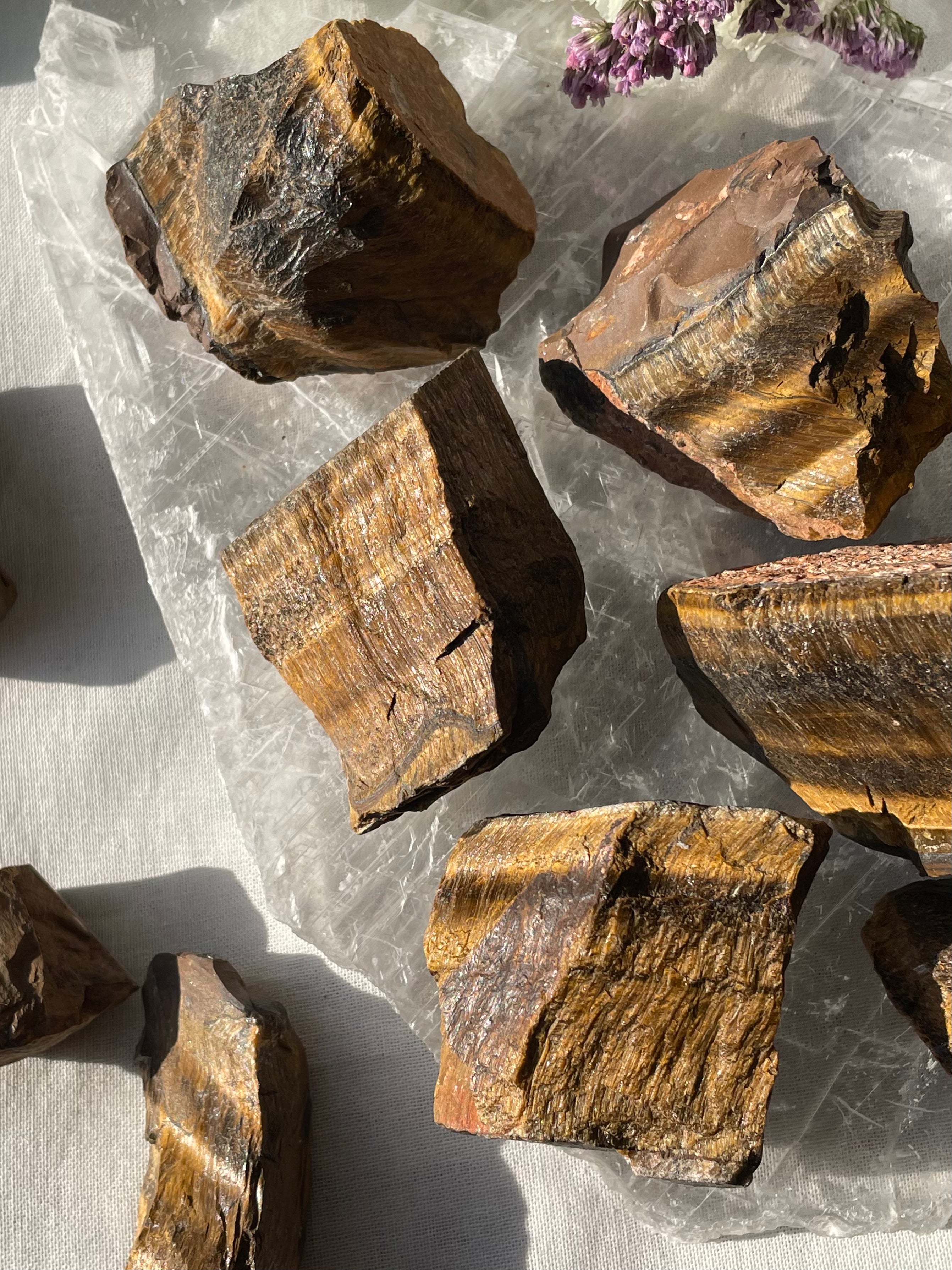 Raw Tiger Eye | عين النمر الخام