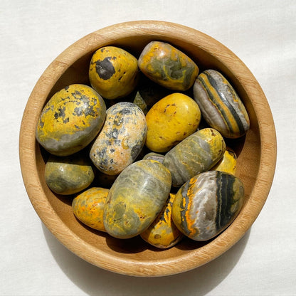 BumbleBee Jasper Tumbles | بامبلبي - جاسبر النحلة
