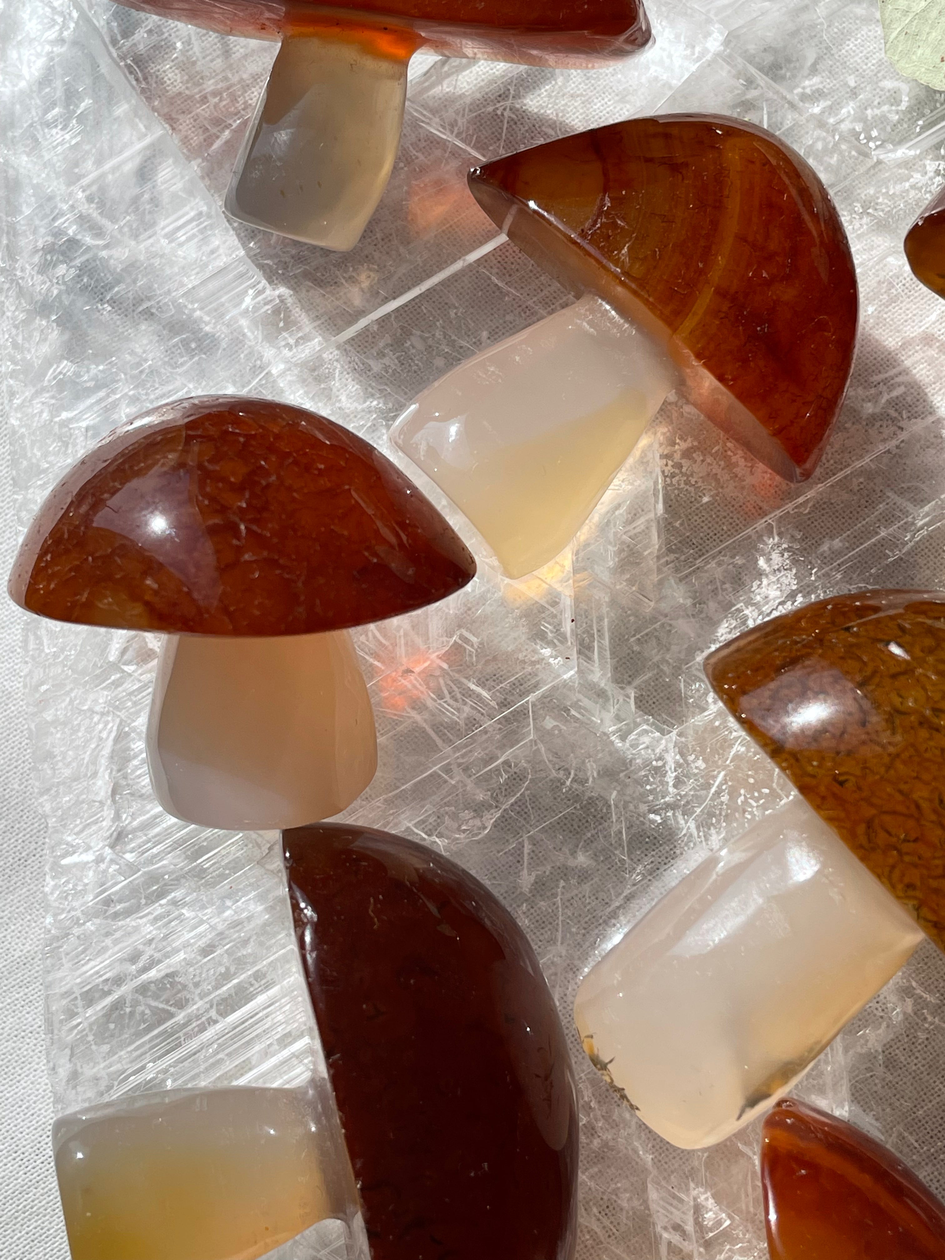 Carnelian Mushroom | Large | كارنيليان