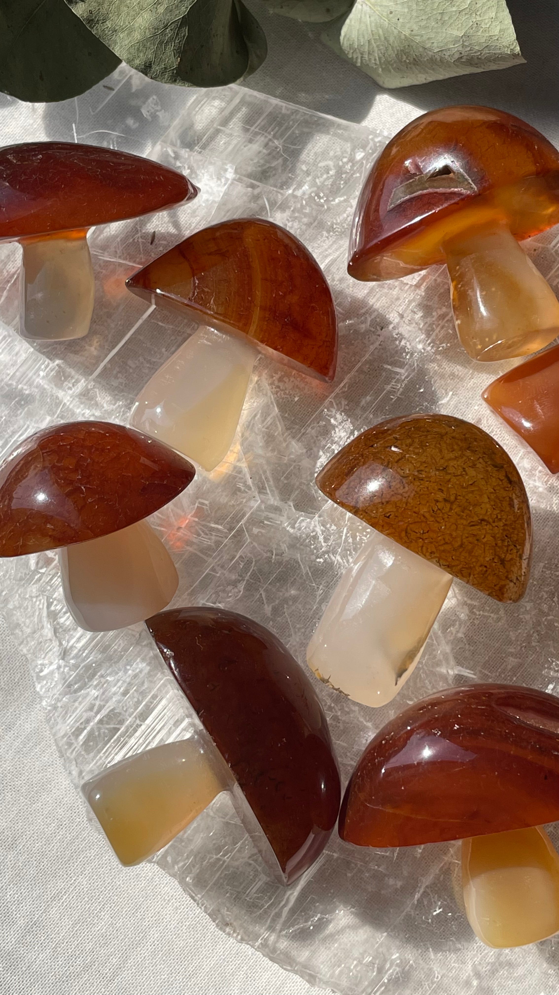 Carnelian Mushroom | Large | كارنيليان
