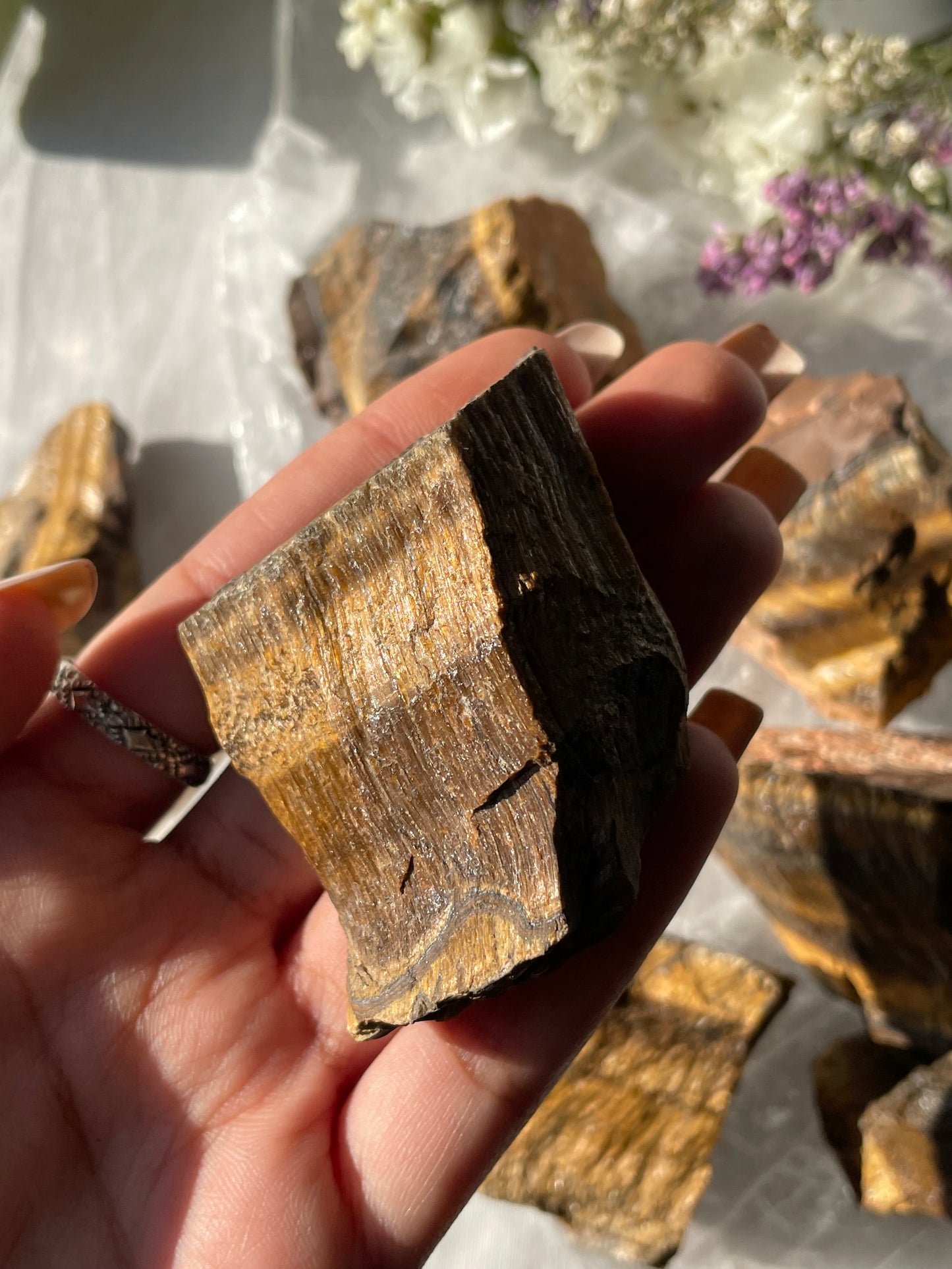 Raw Tiger Eye | عين النمر الخام