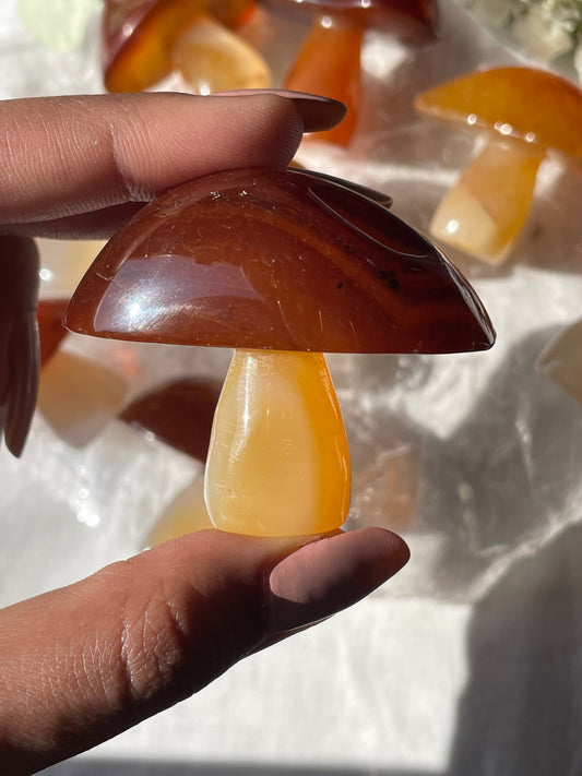 Carnelian Mushroom | Large | كارنيليان