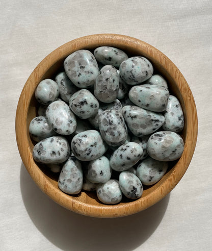 Kiwi Jasper Tumble | كيوي جاسبر