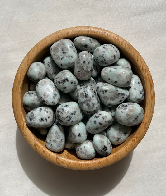 Kiwi Jasper Tumble | كيوي جاسبر