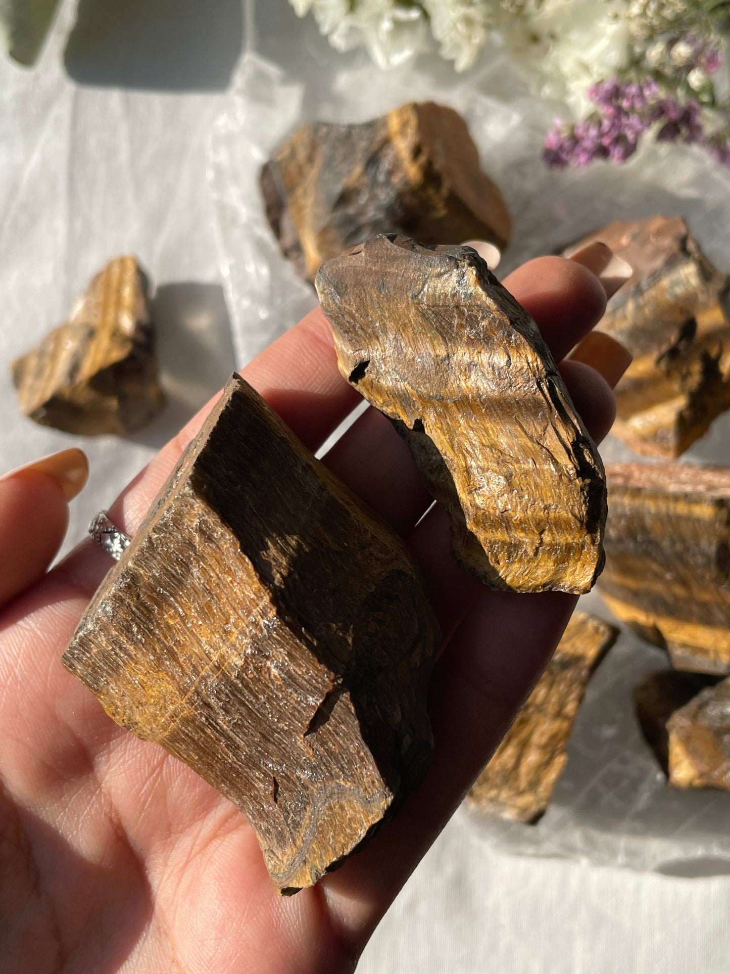 Raw Tiger Eye | عين النمر الخام