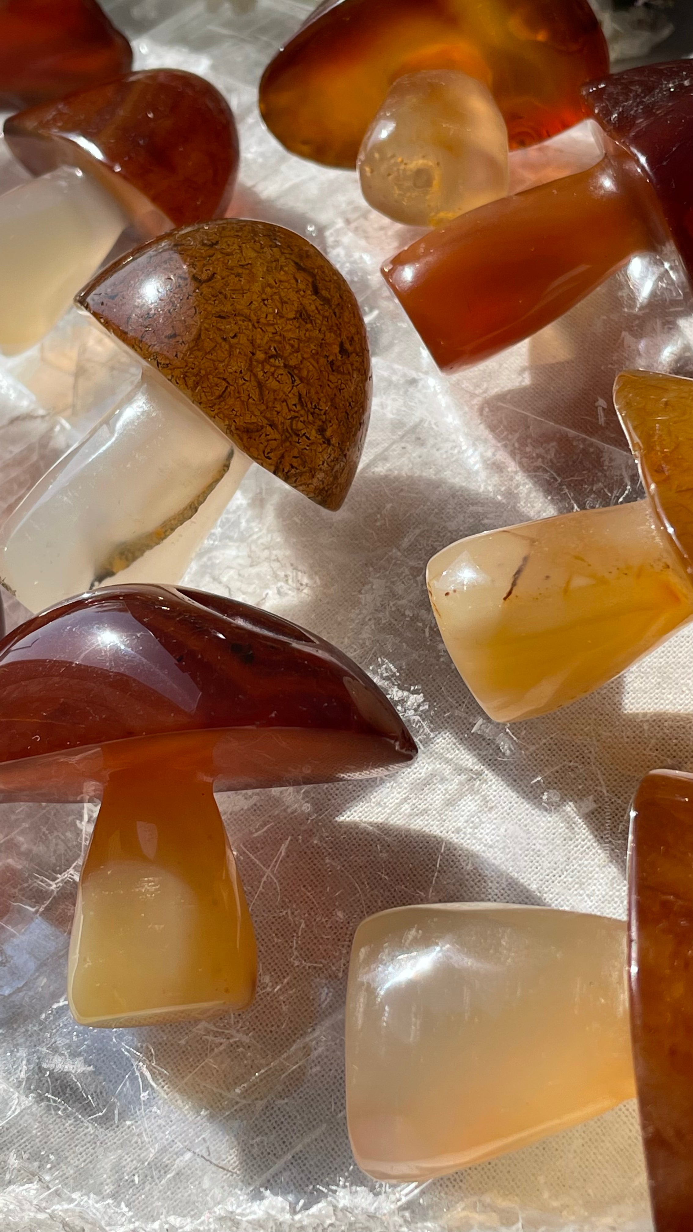 Carnelian Mushroom | Large | كارنيليان